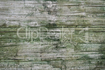 Wall made of old green painted wood planks.