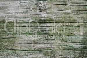 Wall made of old green painted wood planks.