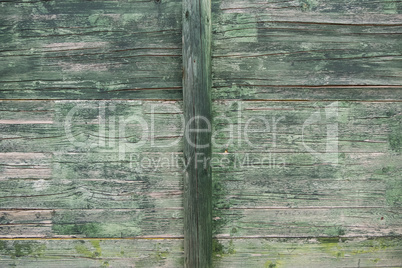 Wooden wall green texture background. Perfect wallpaper.