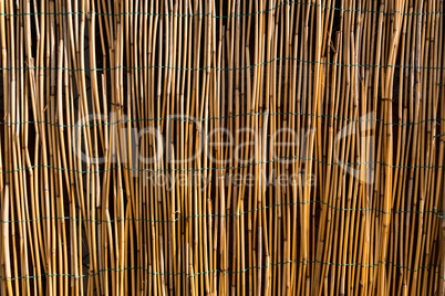 Bamboo wall texture.