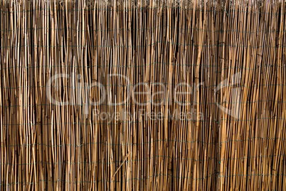 Wall texture made of bamboo.