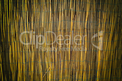 Texture of a wall made of bamboo.