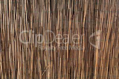 Texture of a wall made of bamboo sticks.