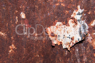 Peace of torn paper on a rusty metal wall.