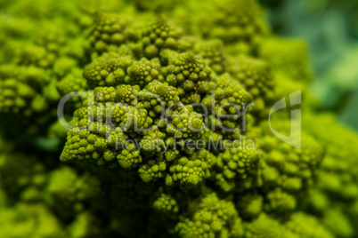 Romanesco broccoli texture. Healthy superfood background.