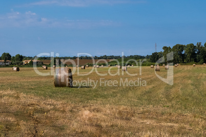 Landscape background of hay bales in a green field.