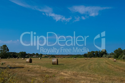 Landscape background of hay bales in a field with blue sky.