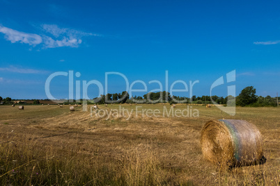 Landscape background of hay rols in a field with blue sky.