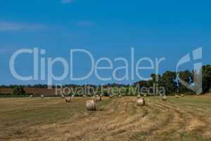 Landscape background of hay straw bales in a field with blue sky