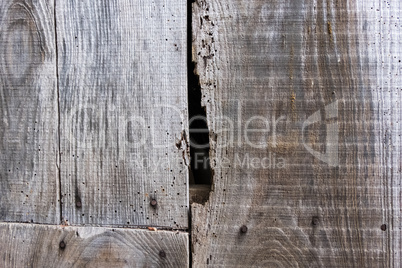 Pinned wood planks wall texture.