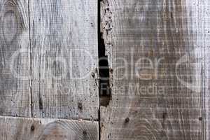 Pinned wood planks wall texture.