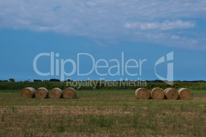 Landscape background of hay bales aligned.