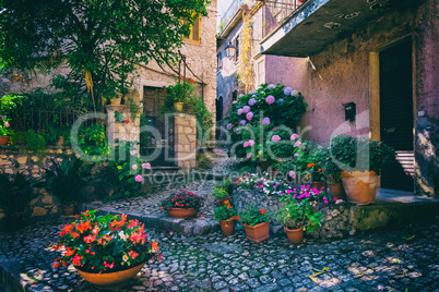 Flowers in front of a house in a medieval town in Italy.