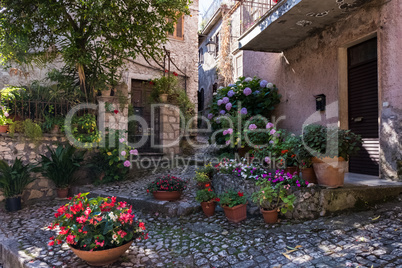 Flowers in front of a house in a medieval village in Italy.