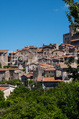 Houses and castle of a feudal town surrounded by trees.
