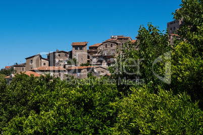 Landscape view of a medieval village surrounded by nature.