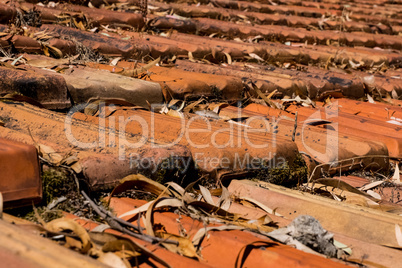 Worn orange tile roof.