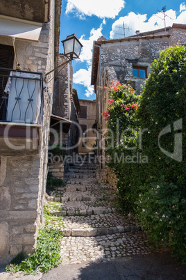 Houses of an old town with walls covered by nature and flowers.