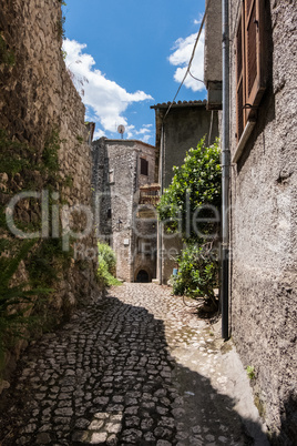 Street with plants of an old town.