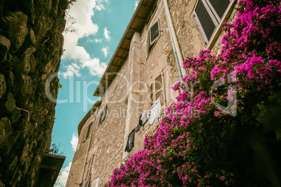 Low angle view of bougainvillea flower in front of an ancient ho