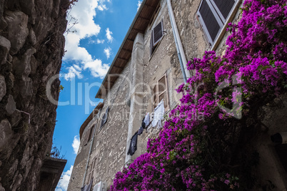 Low angle view of bougainvillea flower in front of an ancient st