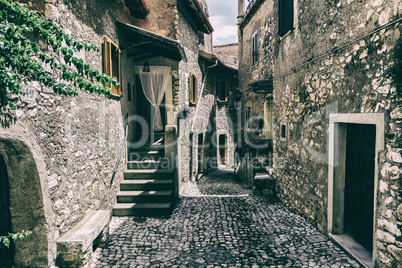 Green plants on a beautiful medieval stone town.