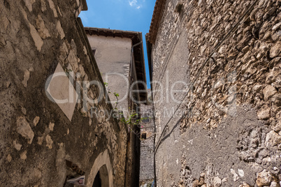 Antique stone walls with green plant.