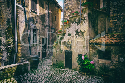 Colorful flowers on a worn alley of a medieval town.