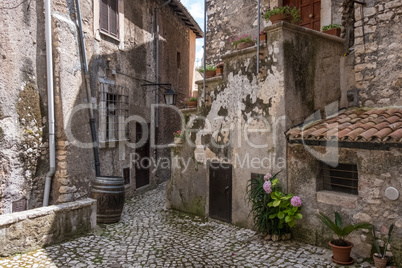 Colorful flowers on a shabby alley of a medieval town.