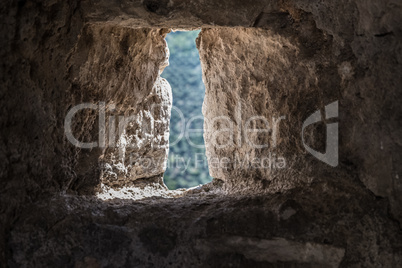 Nature from a tiny hole of an antique stone wall.