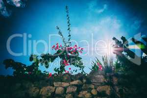 Worn stone wall and nature with blue sky background.