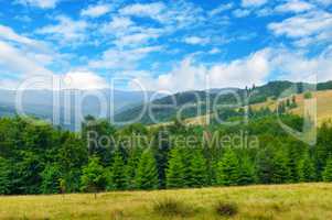 Slopes of mountains, coniferous trees and clouds in the sky. Pic