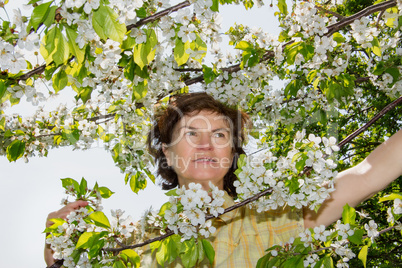 Woman on the tree with cherry blossoms