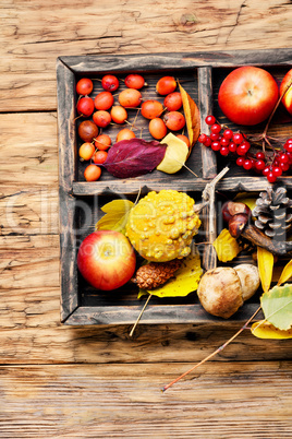 Autumn apples and pumpkin