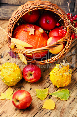 Autumn apples and pumpkin