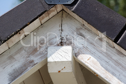 weathered roof beams