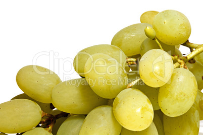 Bunch of white grapes