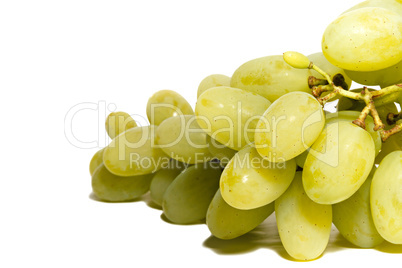 Bunch of white grapes