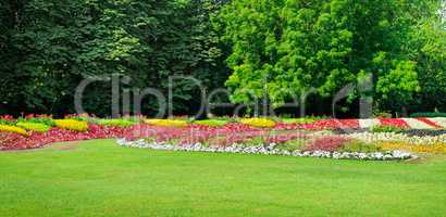 Summer park with beautiful flower beds and meadow. Wide photo .