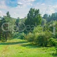 Natural forest with coniferous and deciduous trees, meadow and f