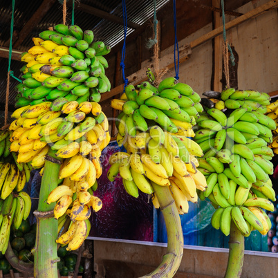 Bananas bunch in fruit shop on sri lanka.
