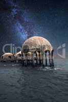 Milky way stars across a night sky over the Cape Romano dome hou