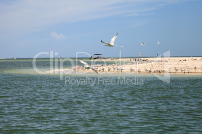 Sandbar where birds breed along Caxambas Island off the coast of