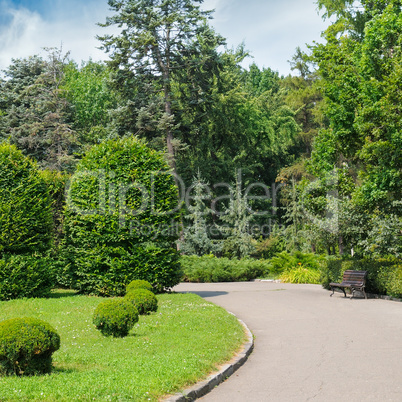 Park, hedge, meadow and blue sky. A bright sunny day.