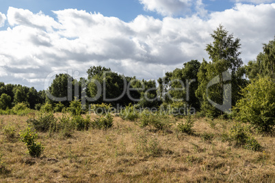 Nature Reserve Höltigbaum