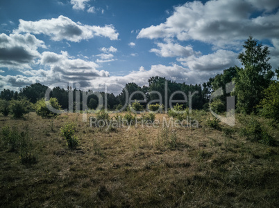 Nature Reserve Höltigbaum