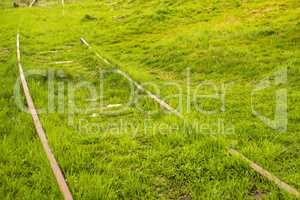 railway, track overgrown with green grass