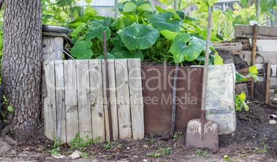 compost heap