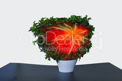 Flowers ivy heart planter