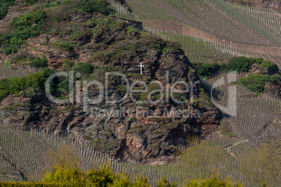 Vineyards on the Mosel river in spring.